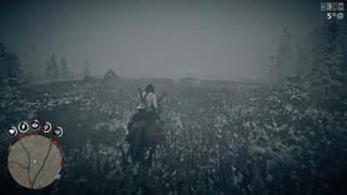 Horse launch glitch